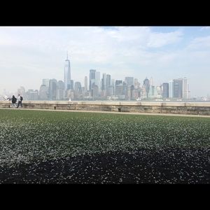 Meet your Posher, Hamida